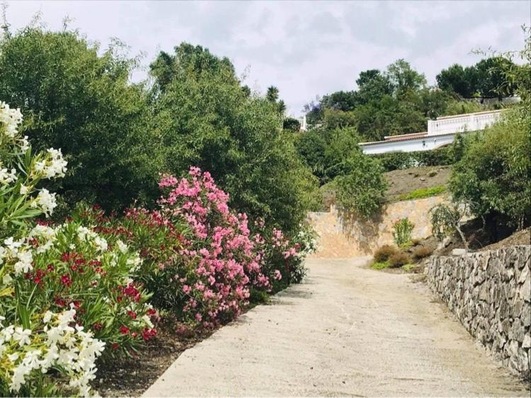 Casa Los Almendros Canillas de Albaida Luaran gambar